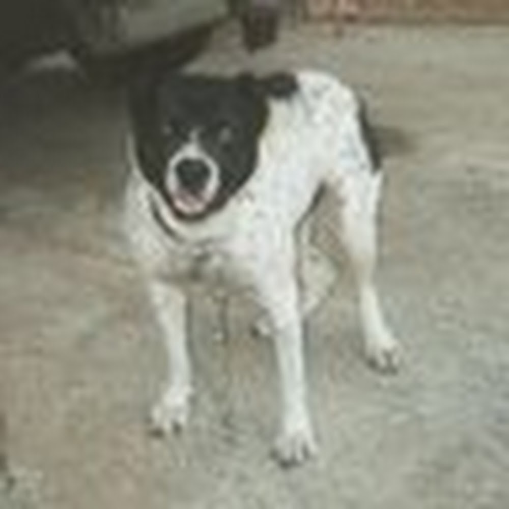 Meet your Posher, Trouble